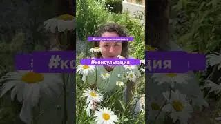 #психолог #консультацияонлайн #отношения #лабинскийрайон #майкоп #адыгея #личностныйрост #психология