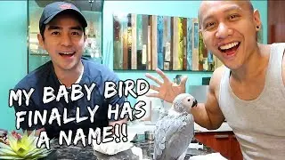 My Baby Parrot's Name Reveal | Vlog 