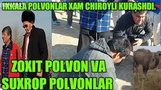 ZOXIT VA SUXROP  POLVONLAR KURASHDI TULIQ VIDIO.