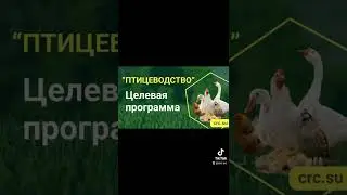 проверьте, мы не говорим мы делаем!!!