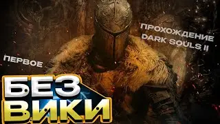 Как пройти Dark souls II ? #14