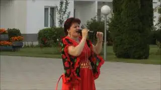 Цыганская гитара Елена Гаевская кавер