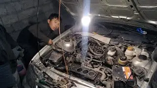 Mator Galopkasini Qanday Qoyadi.