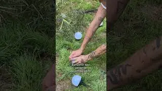 Bu değişim fikriyle bahçeden çıkmak istemeyeceksiniz 😍