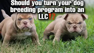 Should you turn your dog breeding program into a LLC⁉️