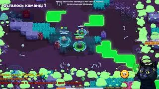 💥БРАВЛ СТАРС ► КОТЭ СТРИМ💥BRAWL STARS