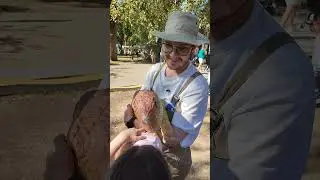 Ми-ми-ми, маленький динозаврик в парке Музеон