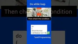 Do while loop