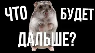 Переосмысление контента на канале