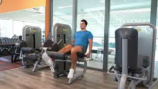 Single Leg Extension Eccentric | Machine | Strength and Conditioning Exercises