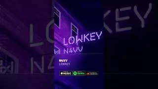 Lowkey By N4VV - Punjabi Soul Melodies (CHECKOUT)