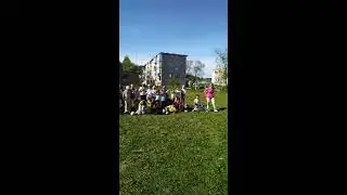 день двора 02.06.2024