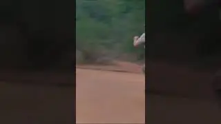 Нет тормозов! Угар! Часть 1
