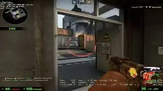 Train ace in the PPL Starter League (lvl 2-3)