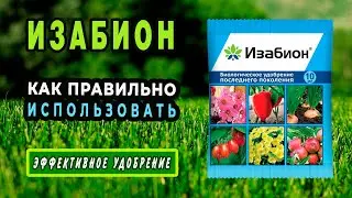 ИЗАБИОН Подробная инструкция. Все тонкости применения