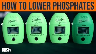 How to Lower Phosphates in a Reef Tank: Mastering Nutrient Control