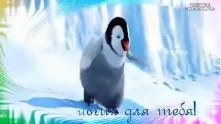 Позитив для тебя! Пингвин отжигает