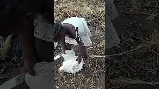 My little Cecilia playing with chicken