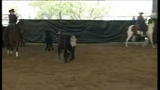 Fiona Tranter & Joanies Playgirl, Armidale 2012 Cutting For Cash