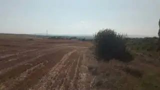 ЖП линия и нива - 360 градуса