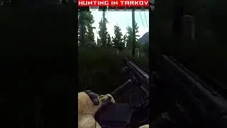 Hunting in Tarkov.  