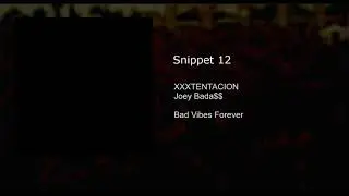 Snippet 12
