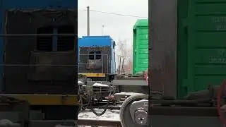 Тгм4б 312 