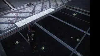 My Broadcast