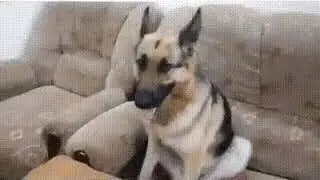 Друг он всегда друг!
