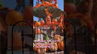 Pumpkins Took Over the Charleston Circle Fountain: 2024 Knott's Spooky Farm / Knott's Scary Farm
