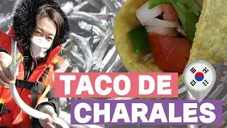 Coreana probando comida mexicana Tacos de charales fritos en Corea.