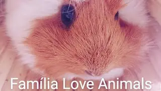 Um pouco de fofura 💓. #yt #viral #fofura #diaadia #top #familia #cute