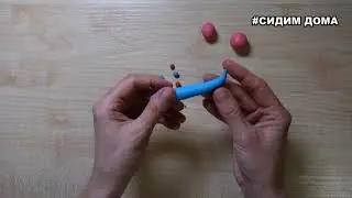Улитка