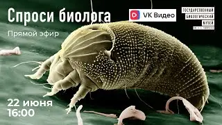 Спроси биолога. Клещи