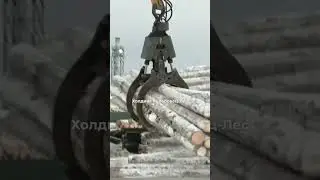 КРУПНЫЙ ЛЕСОПЕРАРАБАТЫВАЮЩИЙ КОМПЛЕКС