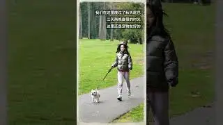 2024 年深秋哈里森温泉小木屋度假旅行｜预告篇