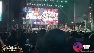 Cardenales de Nuevo León |  Qué No Daría - En vivo desde Chicoloapan 🥰🤩