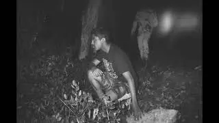 A Walk In The Woods (B&W Horror Slideshow/Film)