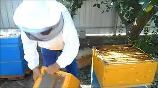 Working with flyers at the end of the season