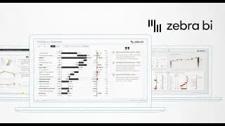 Introducing Zebra BI for Power BI