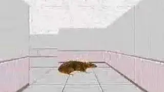 3D迷路のネズミを増やしてみた / a lot of Mouses in 