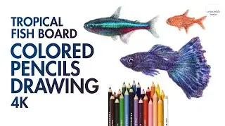 Tropical Fish Board 2020 / Colored Pencils Drawing [4K]