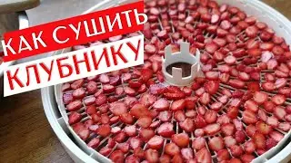 HOW TO DRY STRAWBERRY | Drying Strawberries In Electric Dryer