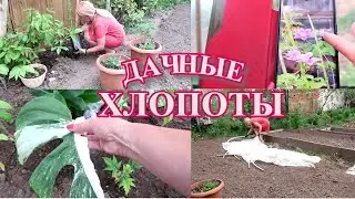 ДАЧНЫЕ ХЛОПОТЫ в мае