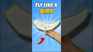 How to Make Amazing Bird Paper Plane that Fly Far