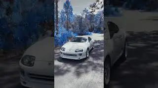 supra🗿 