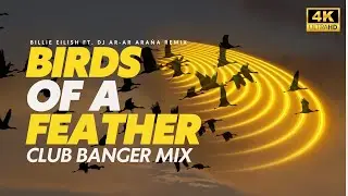 BIRDS OF A FEATHER - CLUB BANGER MIX ( CLEAN MIX ) BILLIE EILISH FT. DJ AR-AR ARAÑA 2024