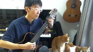 Sunflower(Love Theme) - Henry Mancini - Fingerstyle/Classical Guitar - 20240219