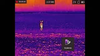 Termowizor HIKVISION FALCON FH35 ircsklep pl