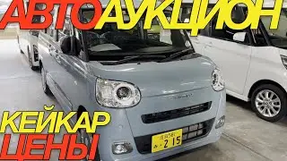 ОКТЯБРЬ 2024 ЯПОНЦЫ НА ТОРГАХ НЕ СБАВЛЯЮТ ЦЕНЫ  / DAIHATSU TAFT MOVE HONDA N VAN